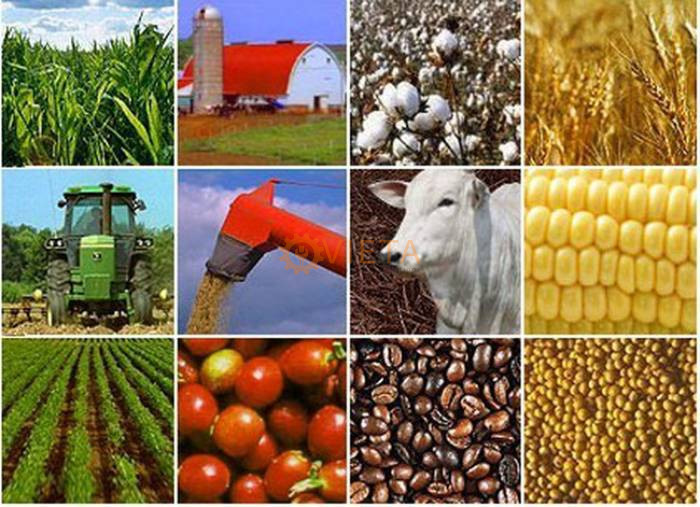 Những Ngành hàng yêu cầu Sử Dụng Máy Nén Khí