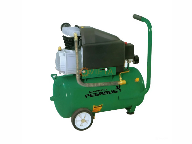 Máy nén khí đầu liền Pegasus TM-0.11/8-F30