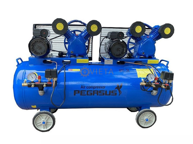 Máy nén khí Pegasus TM-V-0.25/8x2-230L