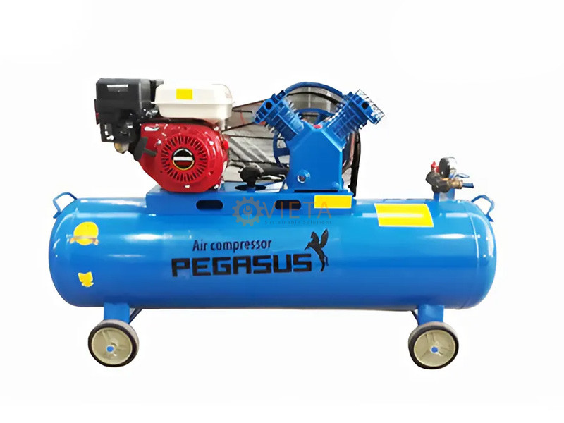Máy nén khí dây đai Pegasus TM-V-0.25/8-100L