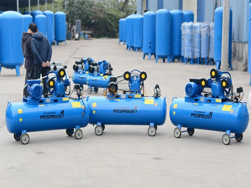 Máy nén khí dây đai Pegasus TM-W-1.6/12.5-330L