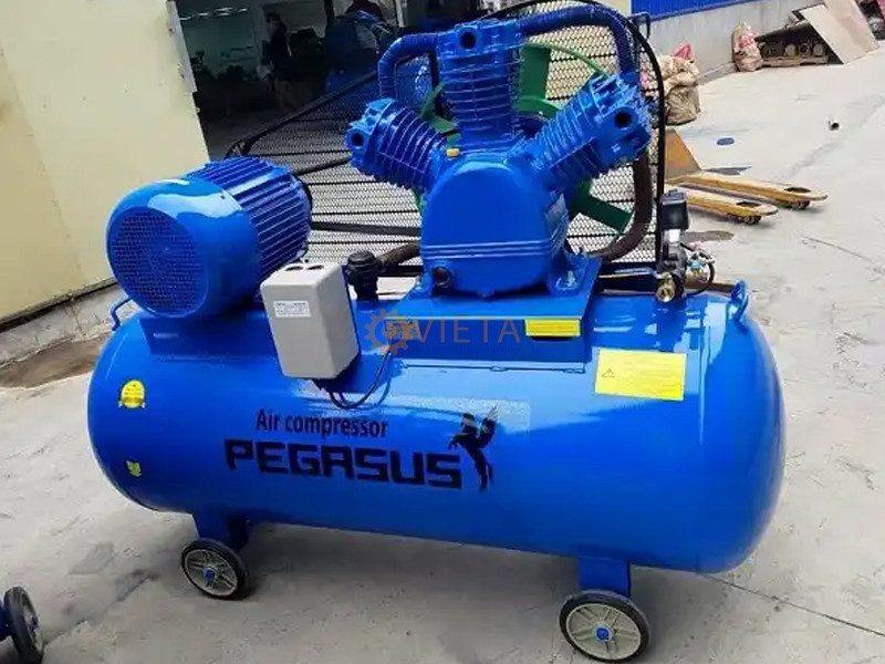 Máy nén khí dây đai Pegasus TM-W-1.6/8-330L
