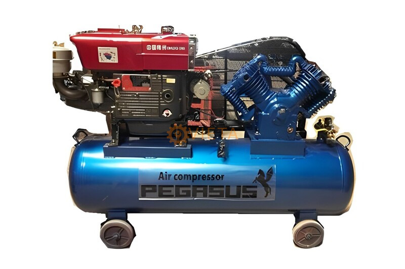 Máy nén khí đầu nổ chạy xăng Pegasus TM-V-0.258-100L